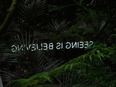 "seeing is believing" shown backwards and obscured by green ferns