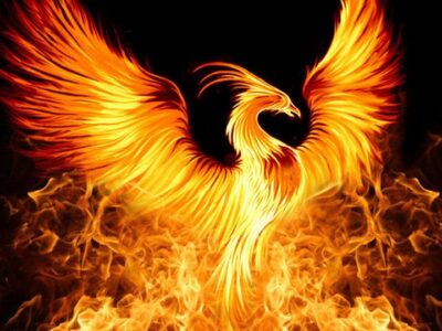 Phoenix on fire