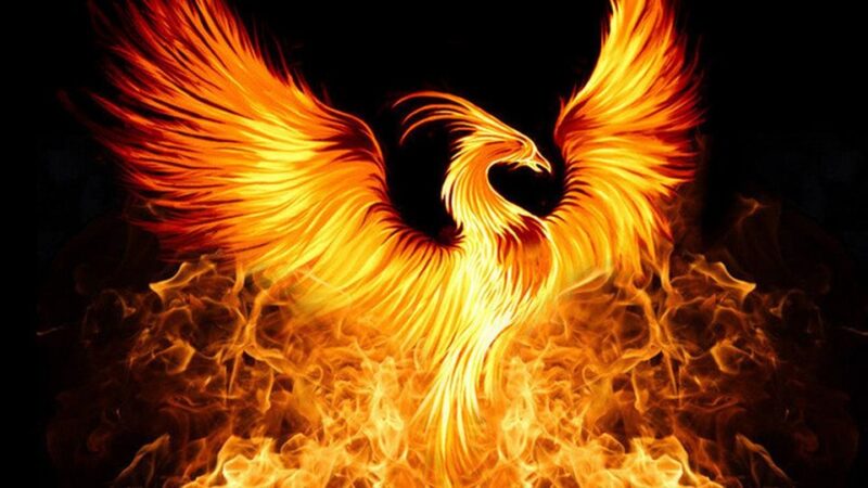 Phoenix on fire